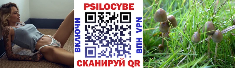 kraken Билибино Псилоцибиновые грибы Magic Shrooms